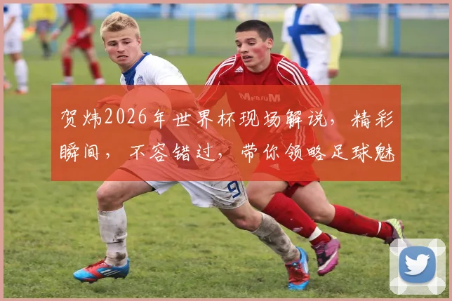 贺炜2026年世界杯现场解说，精彩瞬间，不容错过，带你领略足球魅力，