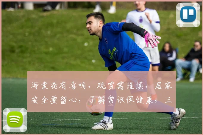 海棠花有毒吗，观赏需谨慎，居家安全要留心，了解常识保健康，三个要点记心间。